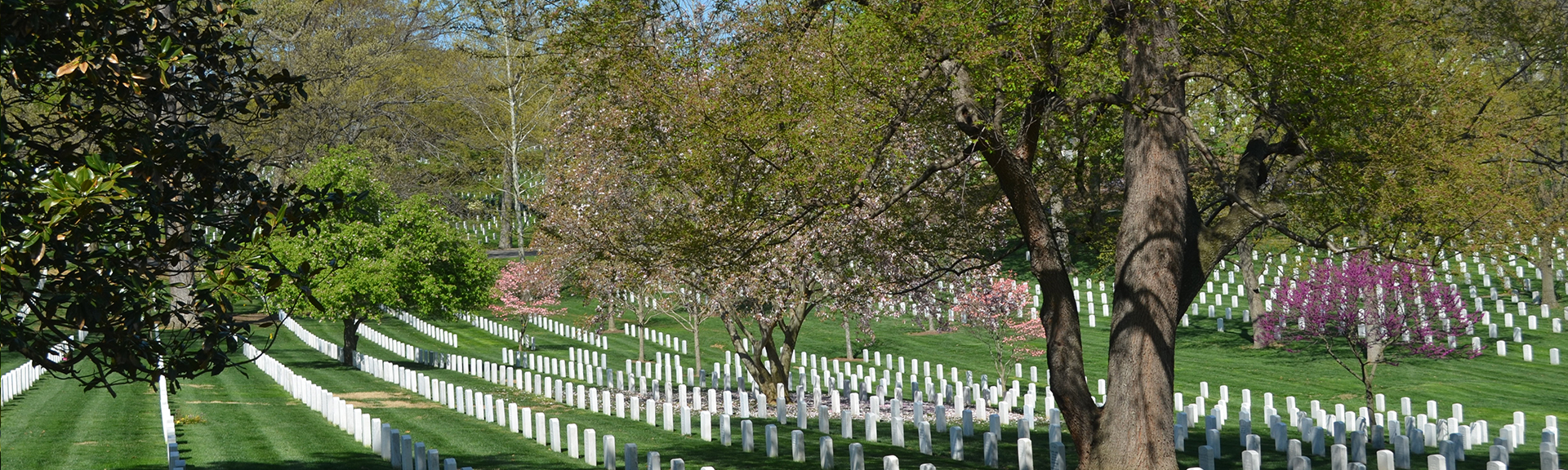 Mathieu memorials